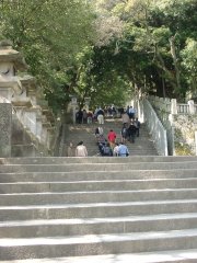 階段だあ